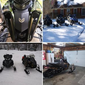 Sleds and riding pics
