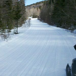 Forks trail Maine