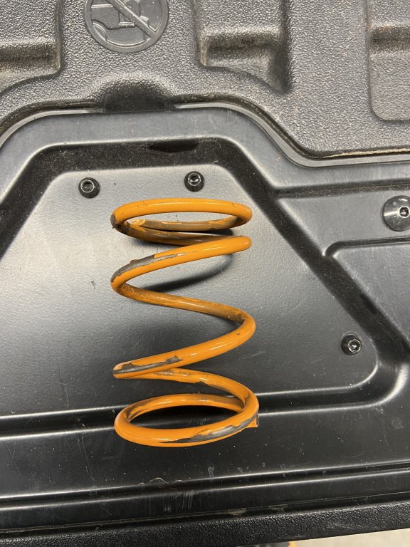 1647478477534.jpeg 1647478477534.jpeg