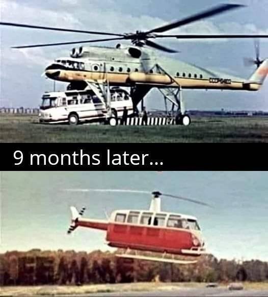 9months.jpg