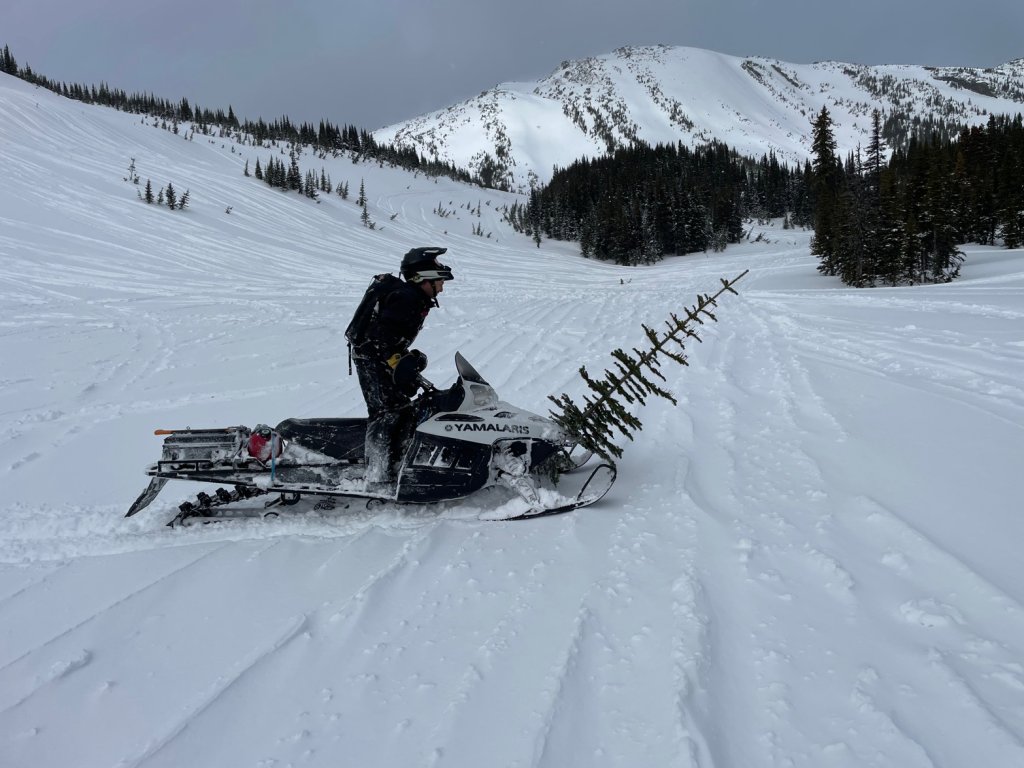 BA85EB5E-E0C1-414F-8AFE-C5D0CA98C789-2953-0000007523B43034.jpeg BA85EB5E-E0C1-414F-8AFE-C5D0CA98C789-2953-0000007523B43034.jpeg