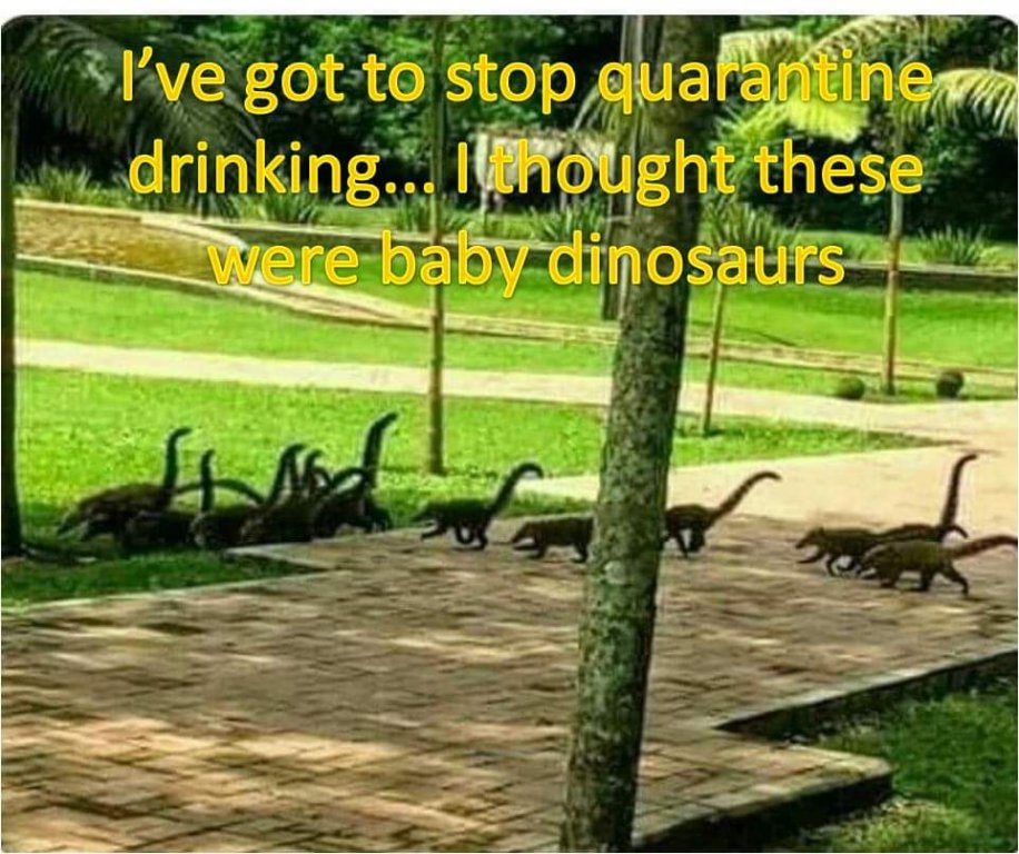 BabyDinosaur.jpg