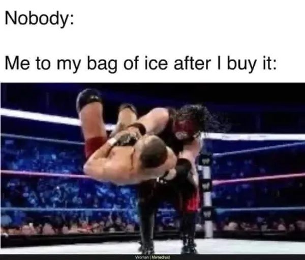 BagIce.jpg