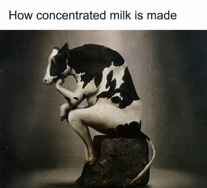 ConcentratedMilk.jpg