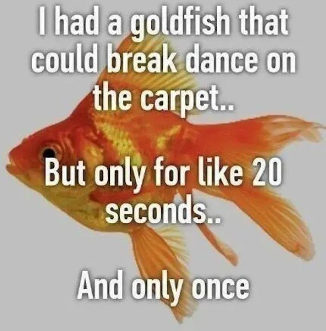 GoldfishDance.jpg