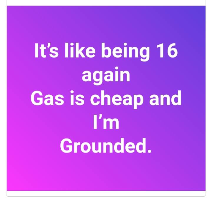 grounded.jpg