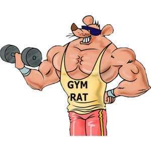 gym.png