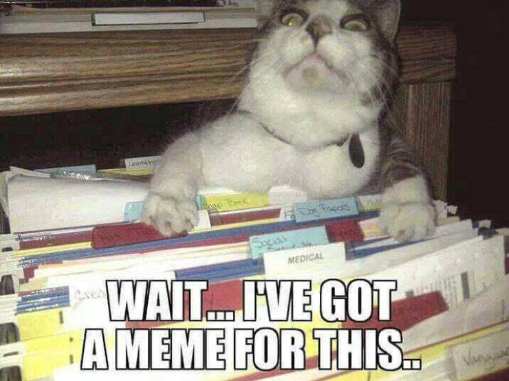 HaveMeme.jpg