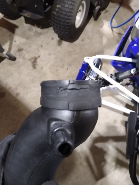 IMG_20230128_115512022_copy_1536x2048.jpg IMG_20230128_115512022_copy_1536x2048.jpg