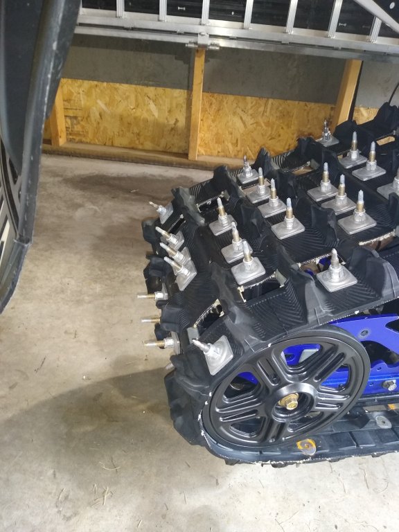 IMG_20231023_104934642_copy_1536x2048.jpg IMG_20231023_104934642_copy_1536x2048.jpg