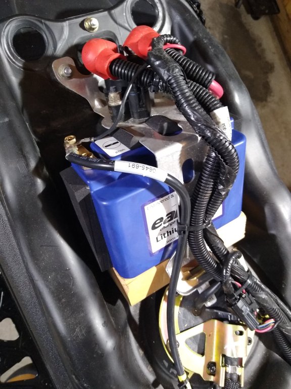 IMG_20231102_090412408_BURST000_COVER_TOP_copy_1536x2048.jpg IMG_20231102_090412408_BURST000_COVER_TOP_copy_1536x2048.jpg