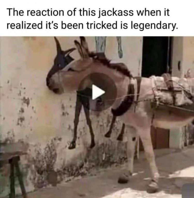 JackassReaction.jpg