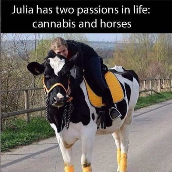 Julia and her horse.png