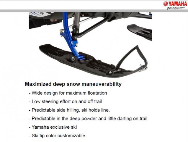 MTNSkis.JPG