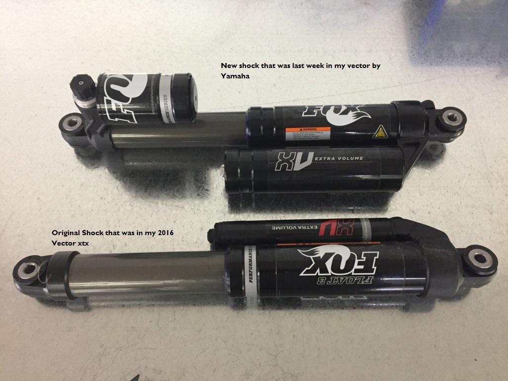 Rear Shock.jpg