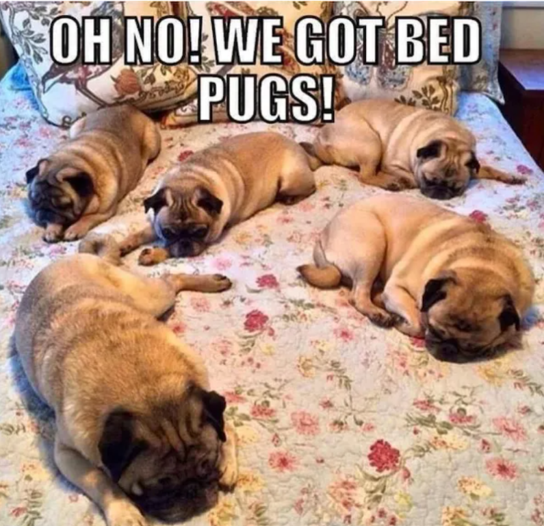 Screenshot 2025-04-21 081431.png