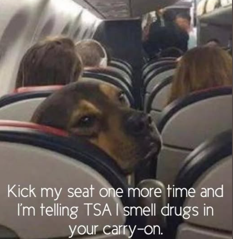 Screenshot 2025-10-12 163736.png