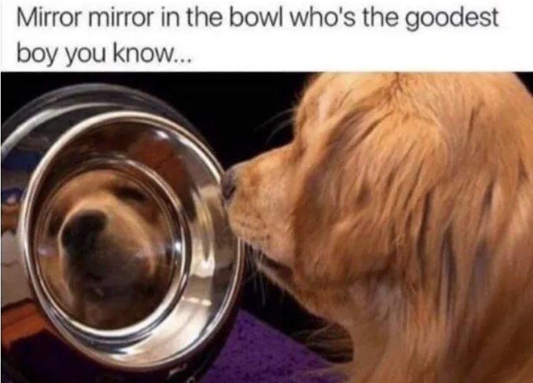 Screenshot 2026-01-30 105743.png