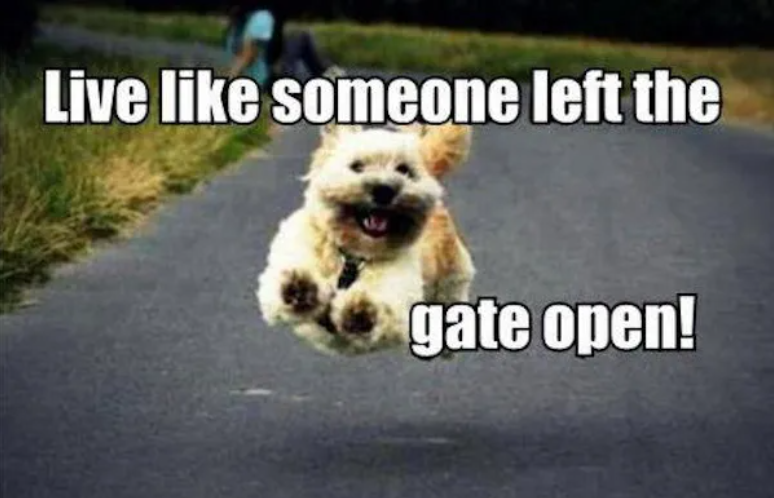 Screenshot 2026-02-02 131338.png