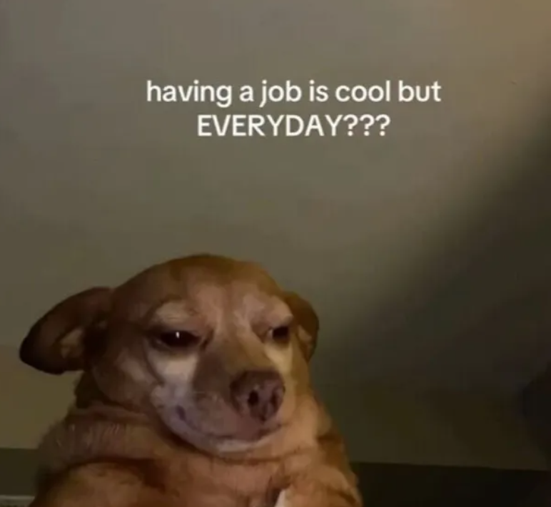 Screenshot 2026-03-09 125156.png