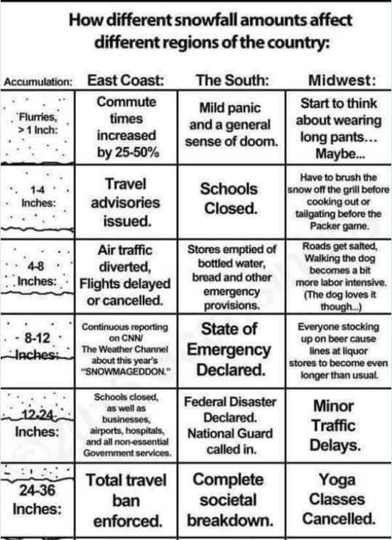Snowfall.JPG