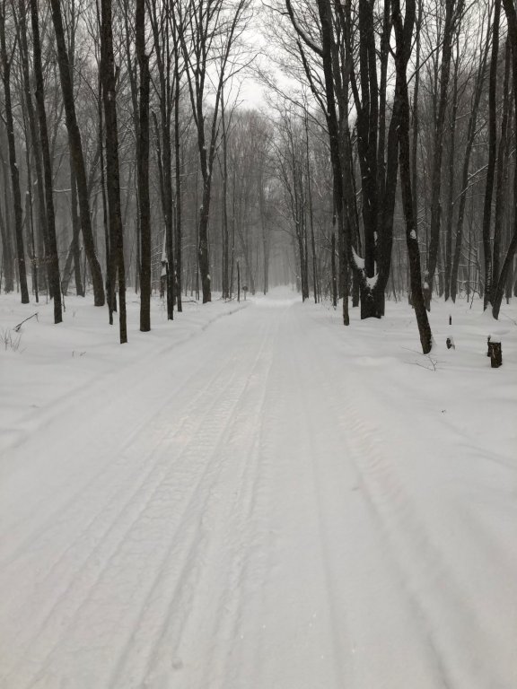 snowy trail.JPG