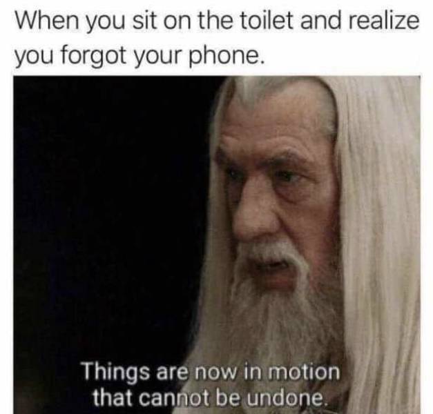 ToiletNoPhone.jpg