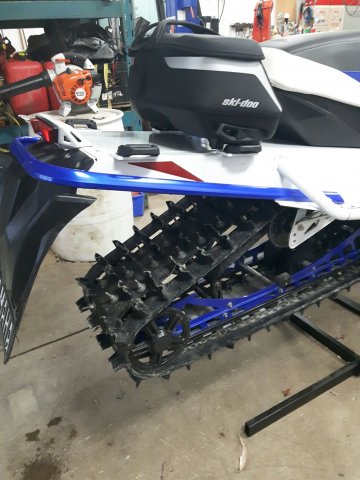 viper 2.jpg