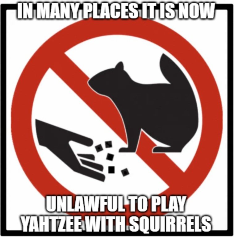 YahtzeeSquirrel.jpg