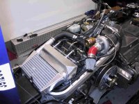 NET SYSTEM INSTALLED.jpg