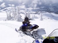 revy1mar05.jpg