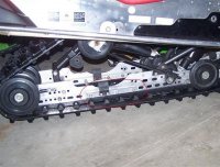 catbrace (Medium).JPG