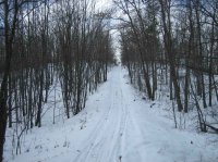 IMG_1342.jpg