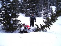 Super Charged Sport Logging.jpg