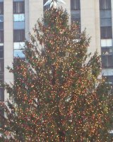 100_0030.jpg