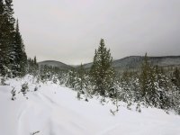 20190120_160506.jpg