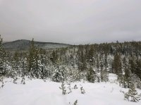 20190120_160510.jpg