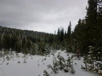 20190120_160513.jpg