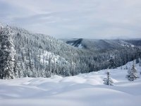 20190121_104740.jpg