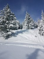 20190121_110235.jpg