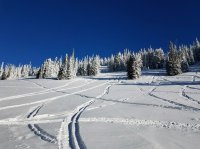 20190122_093147.jpg