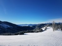 20190122_095341.jpg
