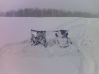 timmy and ryan!!.jpg