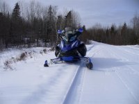 P1000198 (Large).JPG