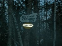 BIG FOOT 002.jpg