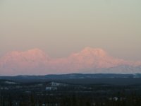 Denali.jpg