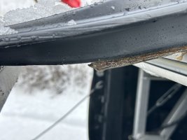 IMG_7917.jpeg