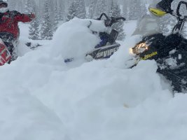 IMG953037.jpg