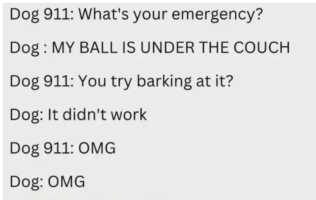 Screenshot 2025-04-01 123739.png