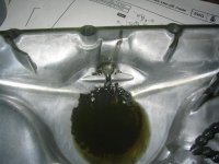 Chain in oil pan.JPG